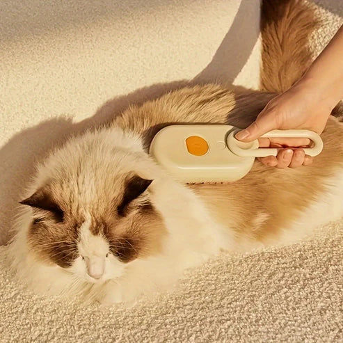 Brosse à vapeur - petitanimal.fr