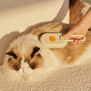 Brosse à vapeur - petitanimal.fr