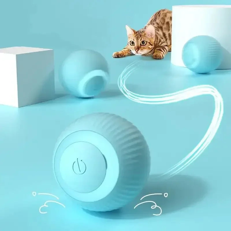 Petite Boule - Jouet interactif pour chat