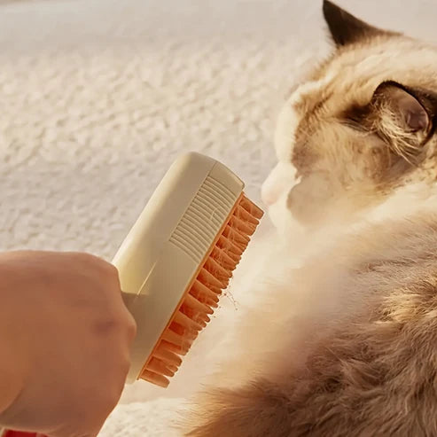 Brosse à vapeur - petitanimal.fr